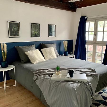 Appartement Les Bleuets - Centre Ville De Saumur Exteriér fotografie