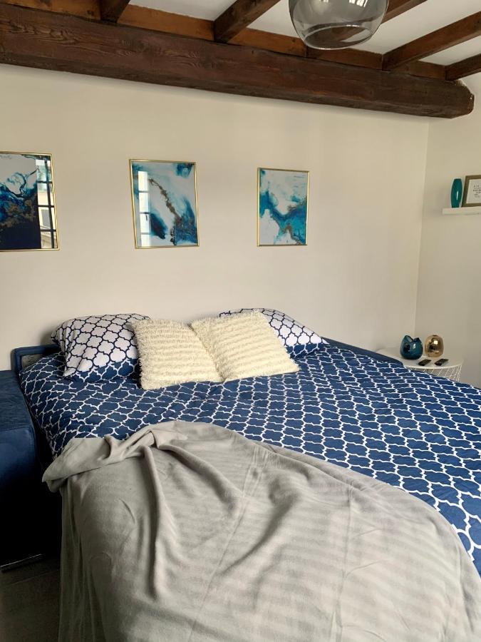 Appartement Les Bleuets - Centre Ville De Saumur Exteriér fotografie